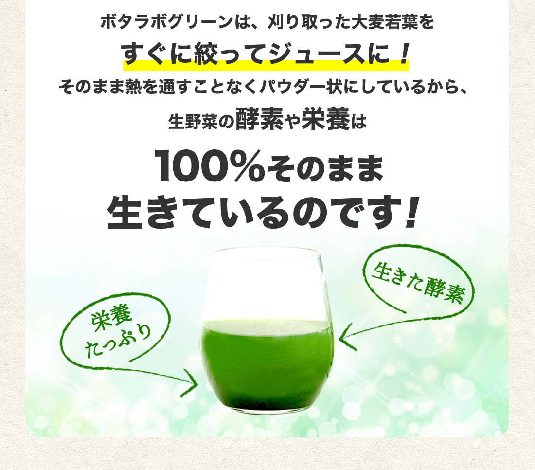 ボタラボグリーンは、刈り取った大麦若葉を
すぐに絞ってジュースに！
そのまま熱を通すことなくパウダー状にしているから、
生野菜の酵素や栄養は
100％そのまま
生きているのです！